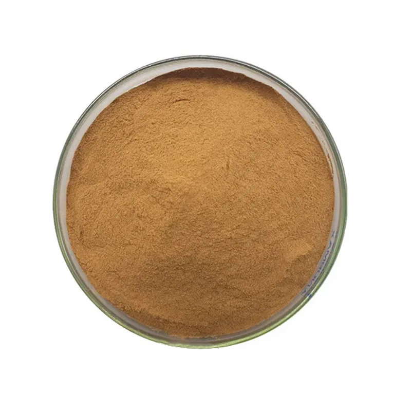 Chinese supplier supply Organic Ginseng Root Extract Ginsenosides 80% Red Korean Panax Ginseng extract
