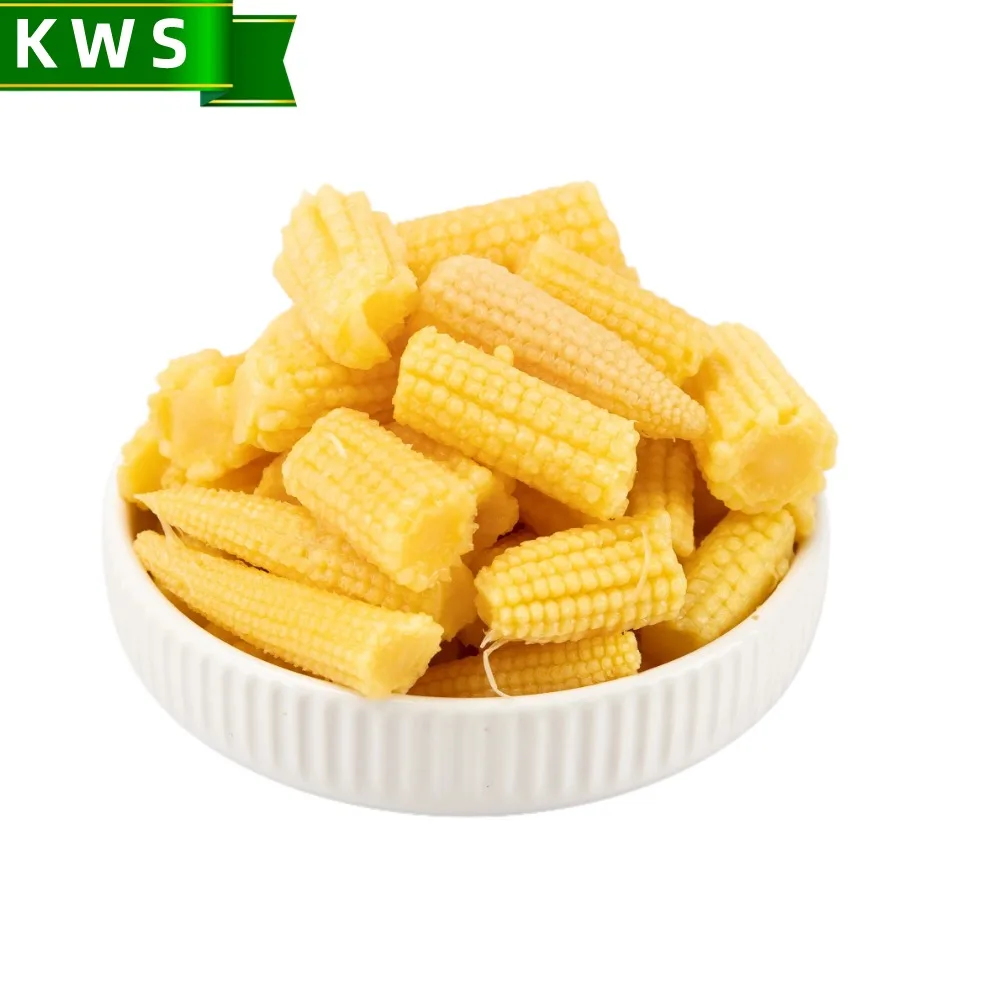 KWS Best price canned baby corn young corn in water