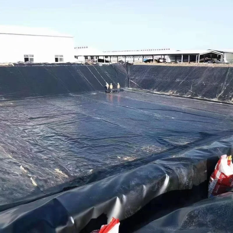 GRIGM13 hdpe геомембранная прокладка для пруда промышленная ПВХ гидроизоляционная мембрана гладкая поверхность рыбные пруды фермы конкурентоспособная цена