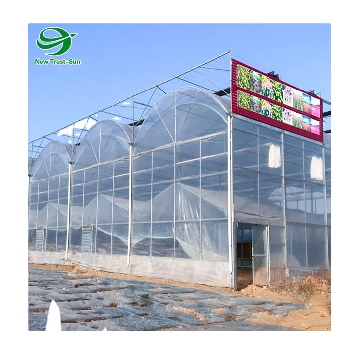 
PVC Farm Hydroponic Grow Systems for Agricultural Tomato/Salad/Strawberry Greenhouse 