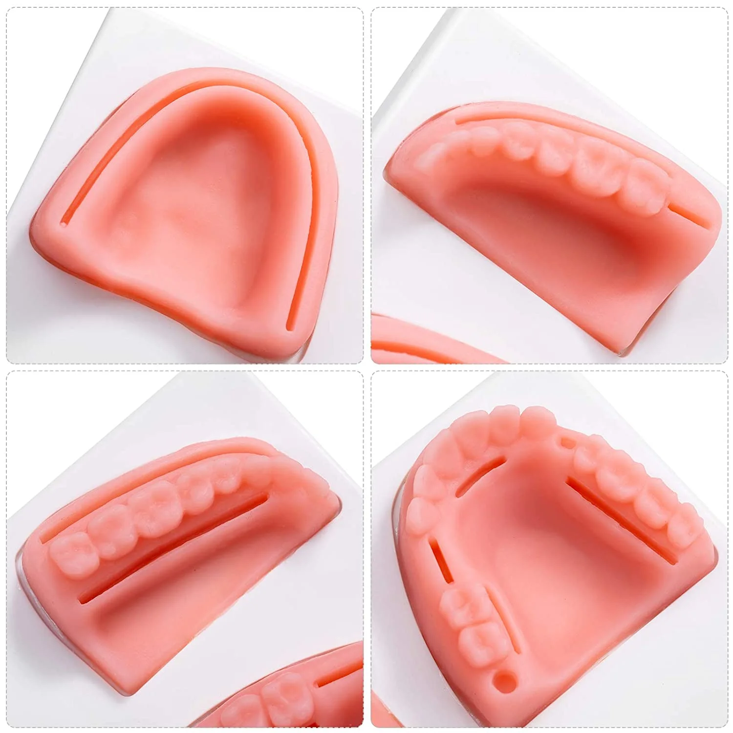 Dentistry School Surgical Simulator Pad Teeth Practice Dental Suture Model Oral School University Students Carton Manikin 230
