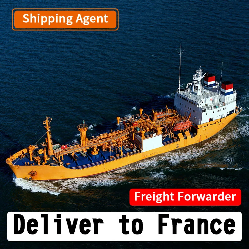 Amazon Dropshipping Cargo DDU DDP Shipping Sea Freight Forwarder Cheapest Charge Rates Ocean Transportation to France