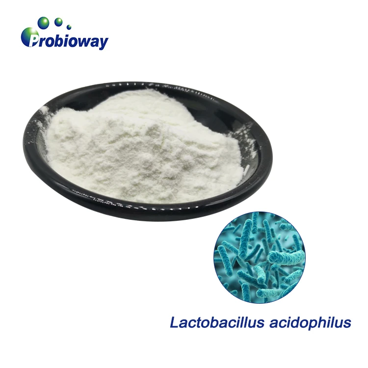 Lactobacillus acidophilus HH-LA26 200 billion cfu/g probiotics bulk powder nutraceutical supplements ISO HACCP factory