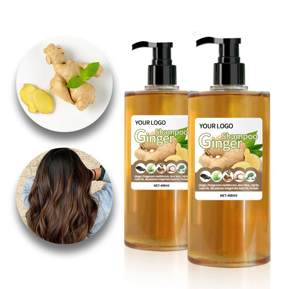 OEM Private label high-quality natural extract anti-dandruff hair growth loss treatment care ginger shampoo
