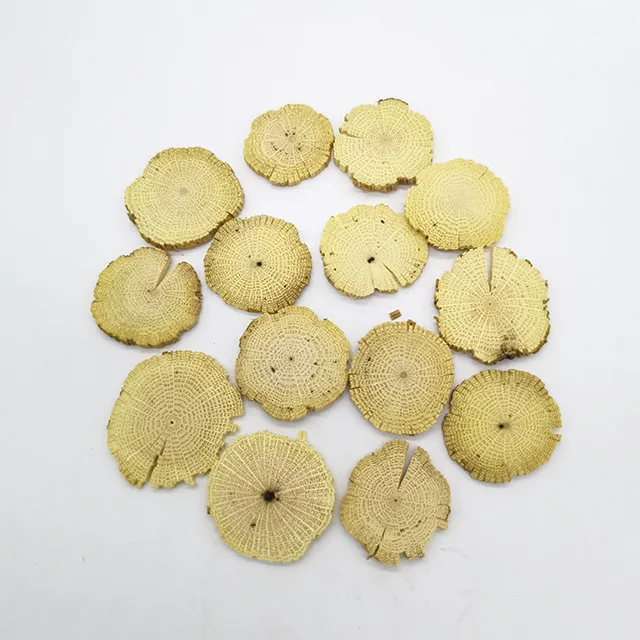 
Bulk Anemone Clematis with factory price 