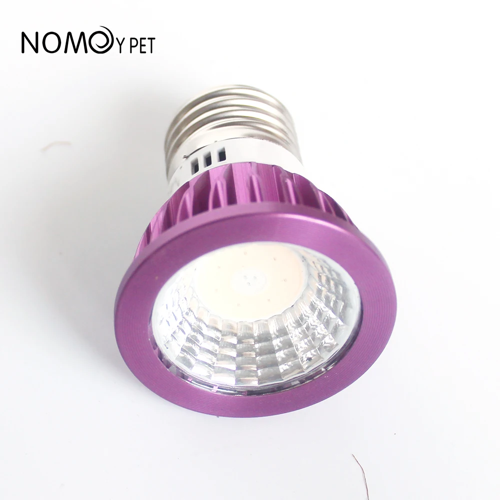 Pet Reptile LED Night Lamp Moonlight Night Sleep Lighting for Gecko Turtle Spider Reptile Snake Lizard Amphibian Accessories