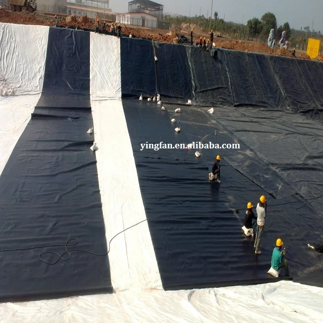 0.5mm Polyethylene HDPE Black Rolls Waterproof Geomembrane HDPE 1mm for Fish Shrimp Farming in Singapore