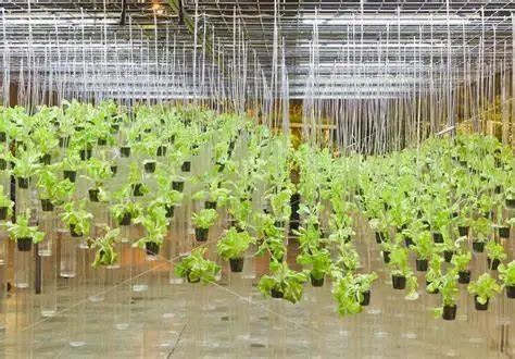 Agricultural greenhouse rockwool hydroponic seed plant starter propagation nursery tray