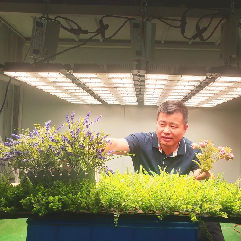 Online Retail High Quality High Power Waterproof Quantum 2000W Led Grow Light For Plant Growth