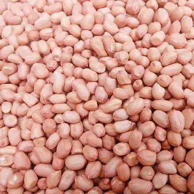 pink color 9616 peanut kernels seed good quality factory price low price for sale