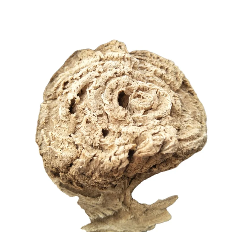 Shang Lu Manufacturer Supply Natural Dried Pokeberry Root Phytolacca Acinosa Roxb