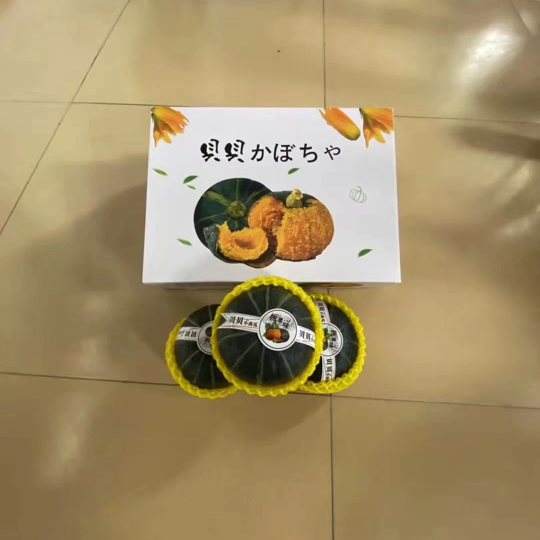 New product fresh vegetable sweet baby food 100% natural new picked green mini Beibei pumpkin