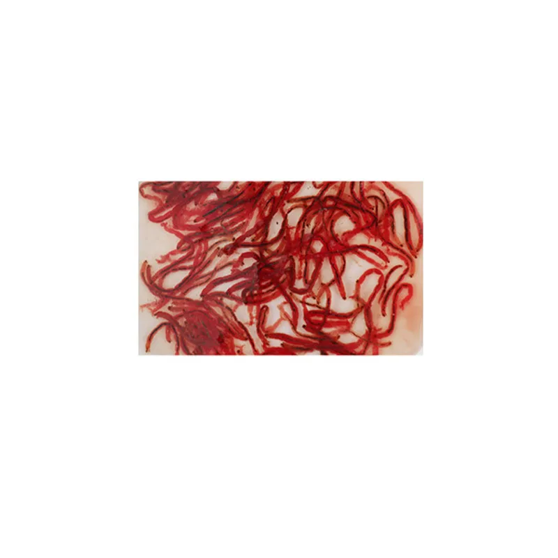
High protein Frozen Bloodworm for tropical fish or small aquarium fish 