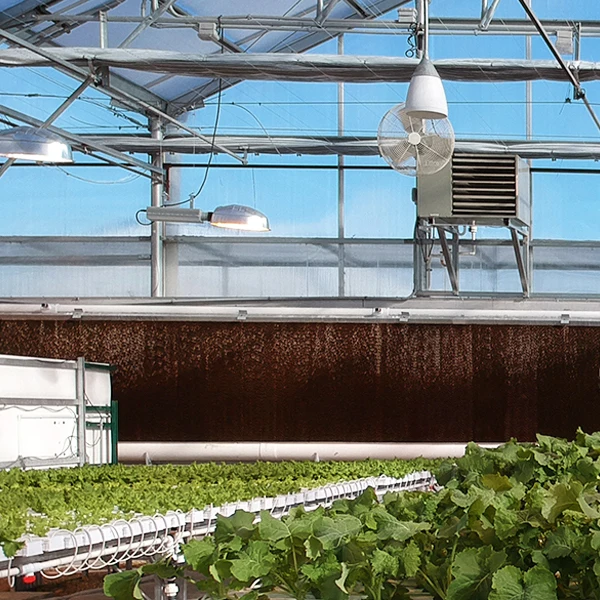 Распродажа система испарительного охлаждения целлюлозной бумаги для куриного домика