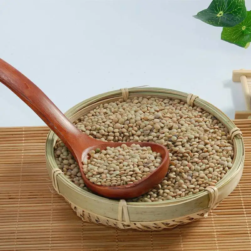 Premium Quality Chinese Green Lentils Organic Dried Lentils Seeds