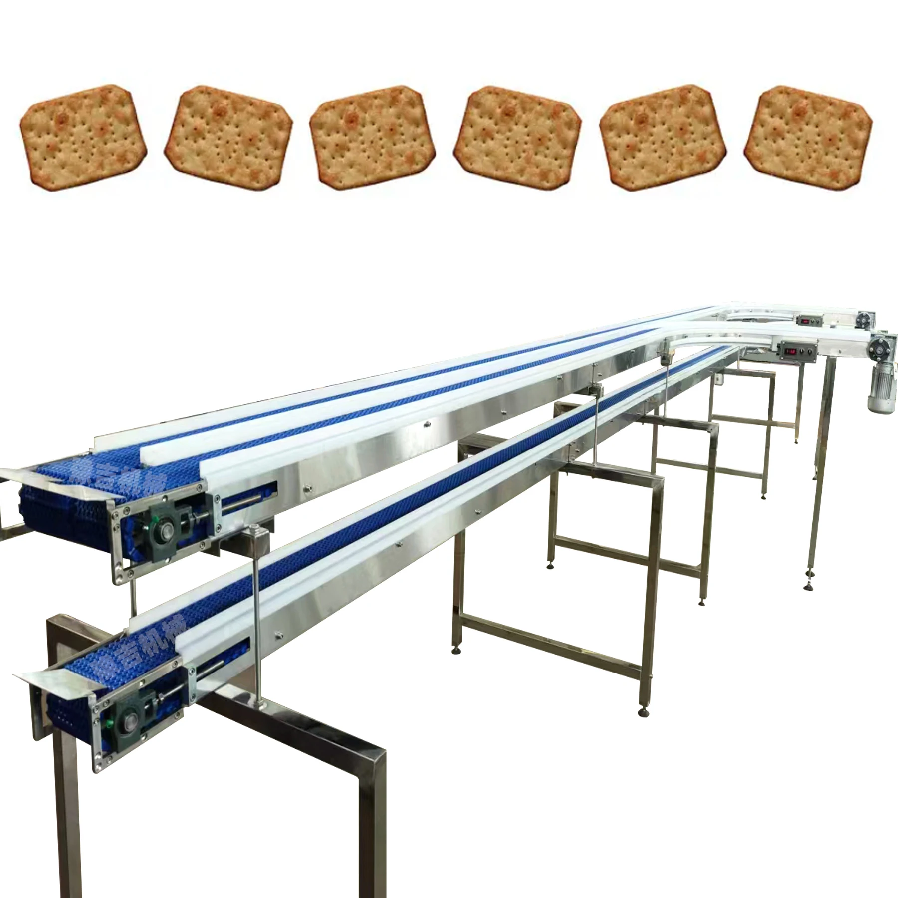 Factory customized food grade plastic plate chain conveyor for carton, beverage, cookie conveying