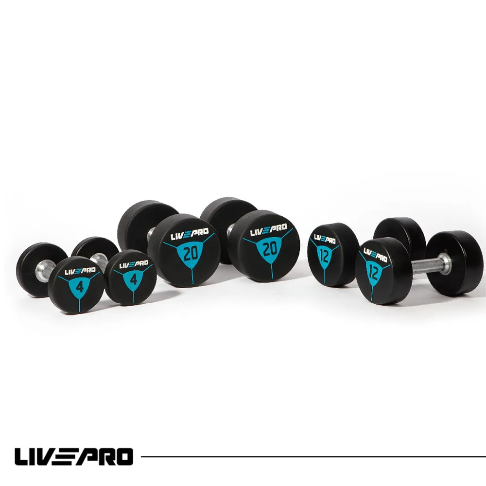 Gym Equipment Urethane Dumbbell Set Free Weights Custom Fixed CPU Dumbbells