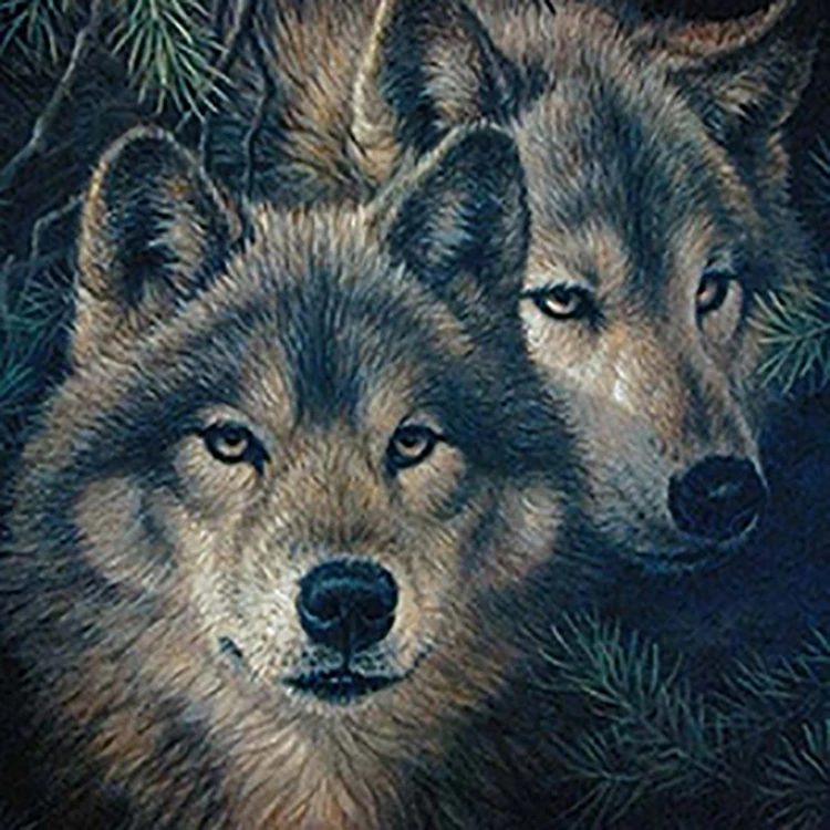 Good quality Coloured drawing painting Full drill diamond kits painting 5D diamond adults Animal decoration painting