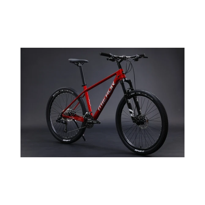 Professional Custom Carbon Fiber 30S Mountain Bike Size 27.5/ 24/ 26/ 29 Inch Full Suspension Mountain Bike