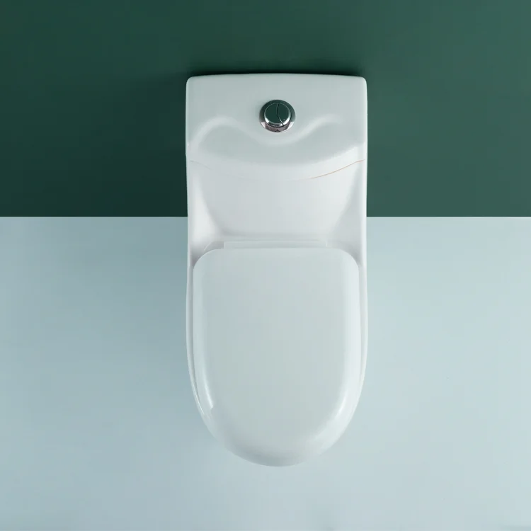 WDSI Ceramic Toilet  Bowi Men Toilet Toilet Seat Bidet