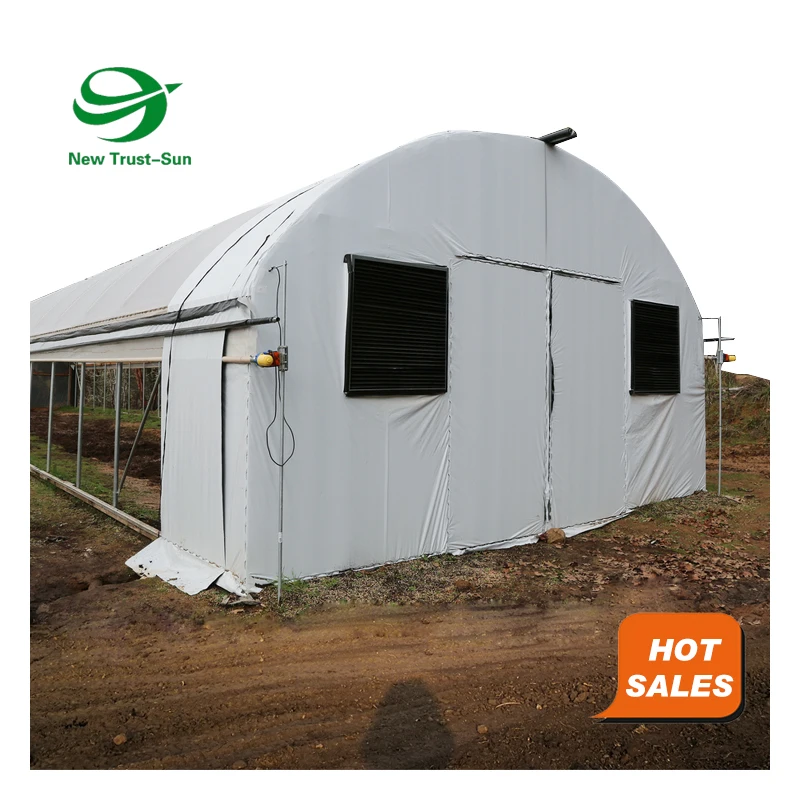 
Hot Sales Agricultural single-span tunnel film industrial greenhouse with blackout shading system 