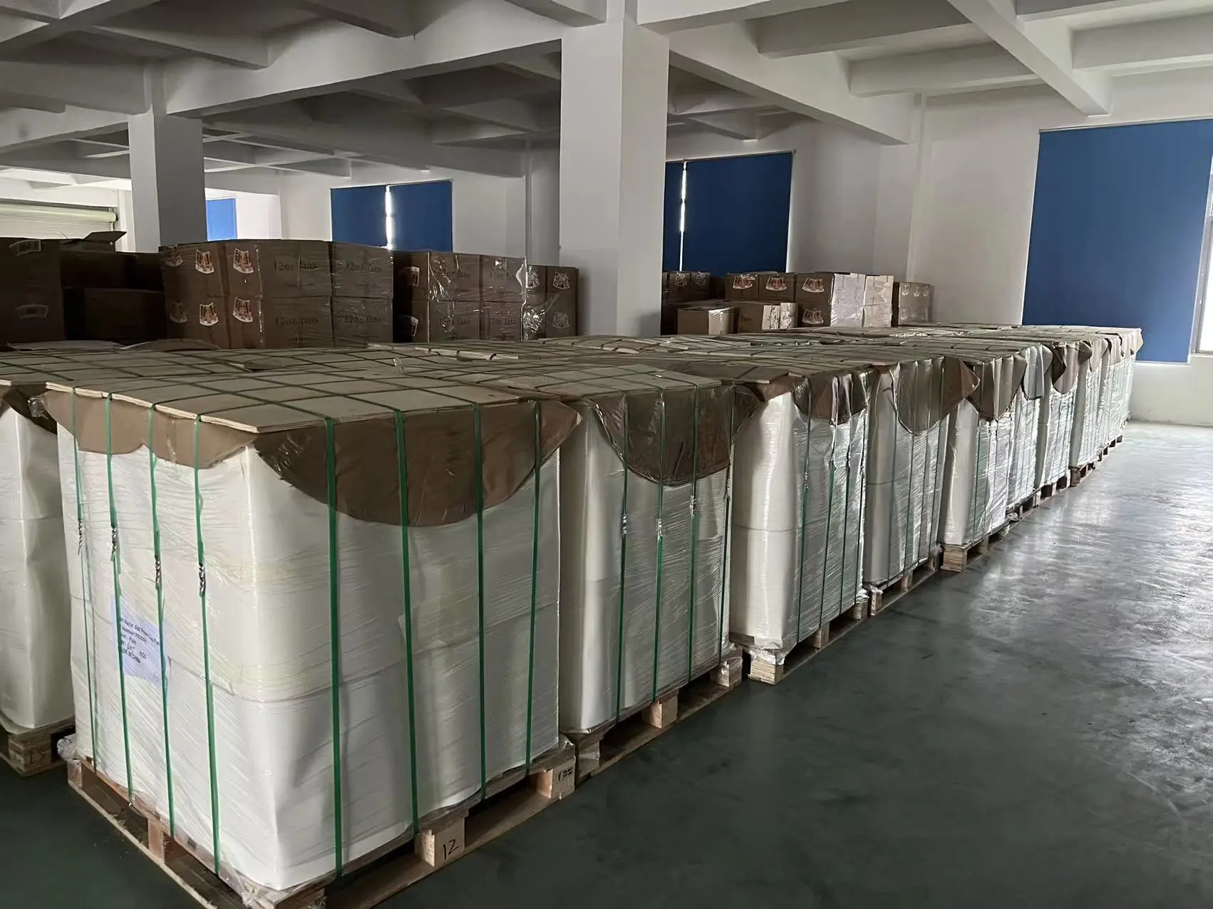 Raw material paper cardboard paper cup sheet printed for paper coffee carton cup