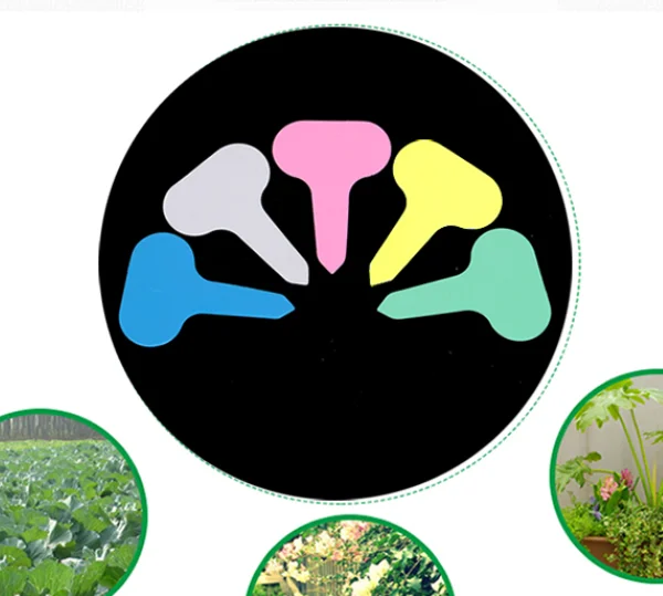 
PVC Waterproof Tags Re-Usable Plant Labels Field trial and Garden Labels or Succulent Flower Labels 