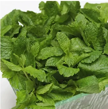 Wholesale Dried mint leaves Tea Bulk dried Peppermint tea factory supply
