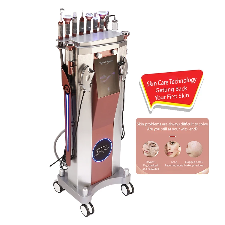 Professional Skin Care Machine Improve Firmness 9 in 1 Multi Function Vertical To Fade Fine Lines Skin Care Product