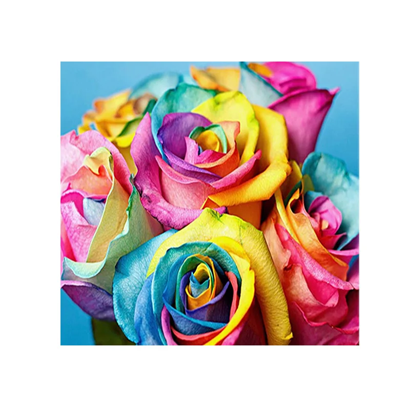 Colorful Rose 30x30cm Round Drill Wall Painting Diy Adult Children Making Diamond Painting