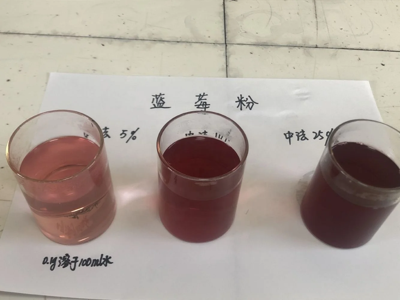 Bulk Pure Blueberry Concentrated Powder with Best Price 1KG Food Supplements