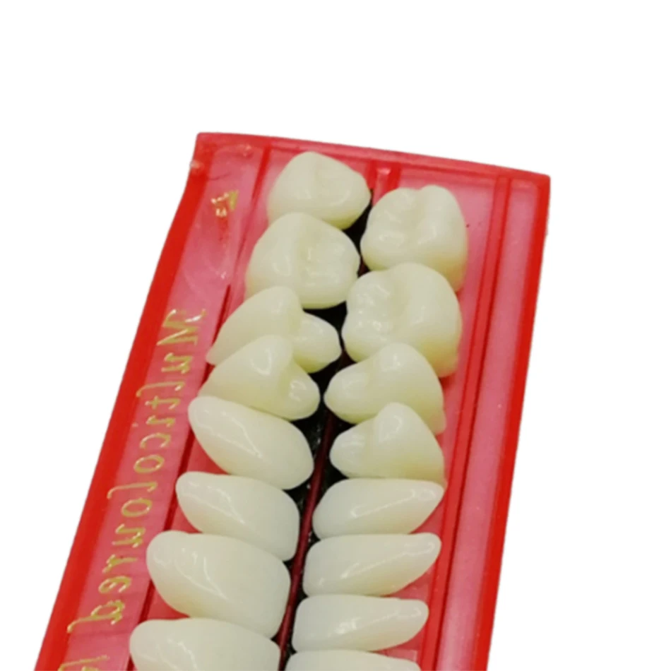 
Anterior False Teeth Denture False Teeth Flexibility High Quality Dental Hospital Practical False Teeth Material Dentures 