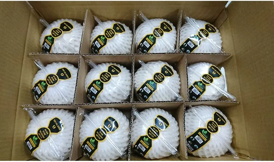 Свежий Кокосовый урожай во Вьетнаме 2021 Высококачественная продажа оптом