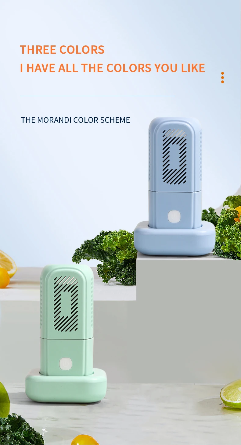 Vegetable Purifier (15).jpg