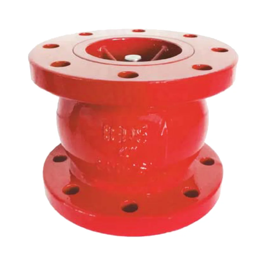 300PSI silent check valve