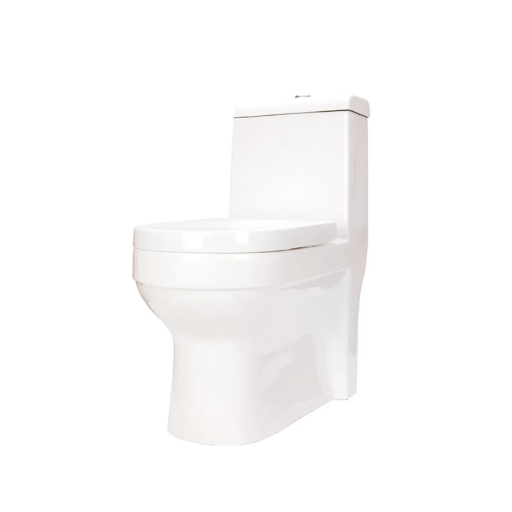 Modern One-Piece Ceramic Wall-Hung Toilet Sanitary Ware for Home or Hotel Bidet & Tornado Rimless Flushing for Bathrooms