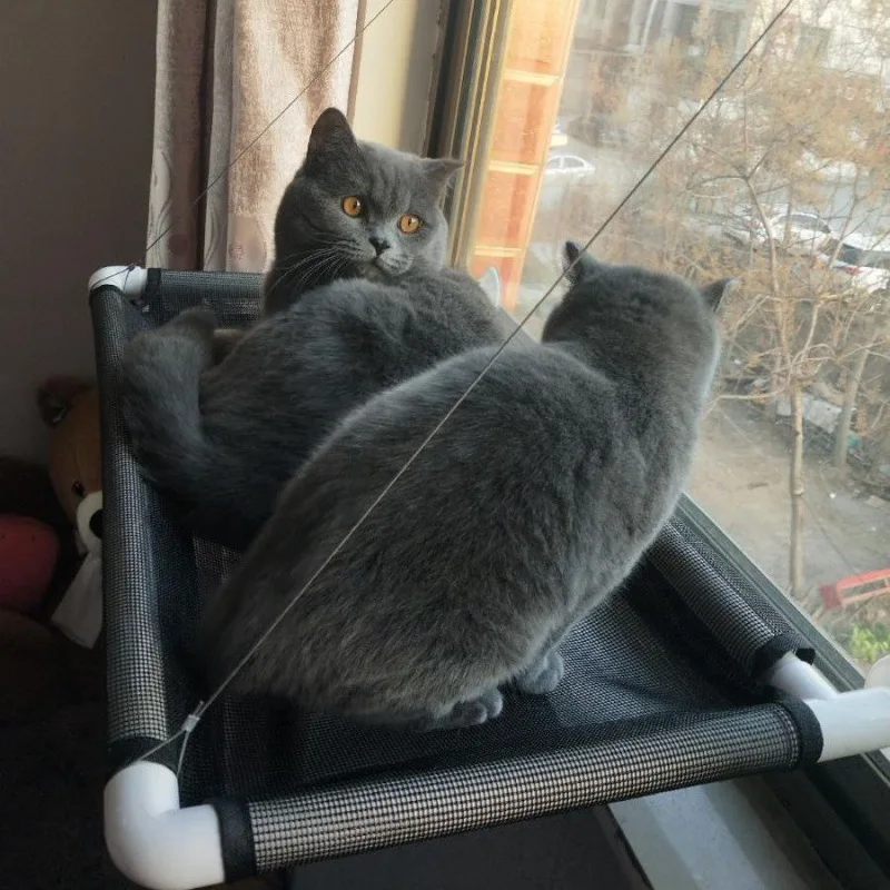 Heavy Duty Breathable Cat Window Perch Hammock Resting Seat Large Cat Hammocks Bed for Indoor Cats With Suction Cups