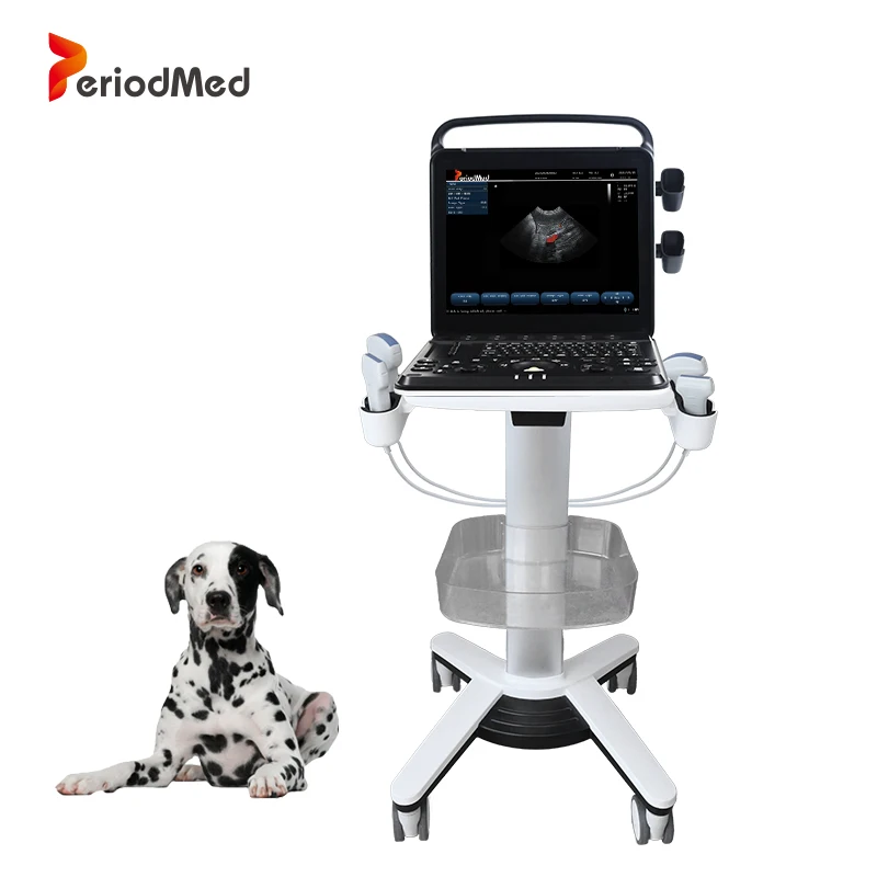 Периодированная ветеринарная портативная гидролокатор компактная Ректальная тележка с зондом для ветеринара