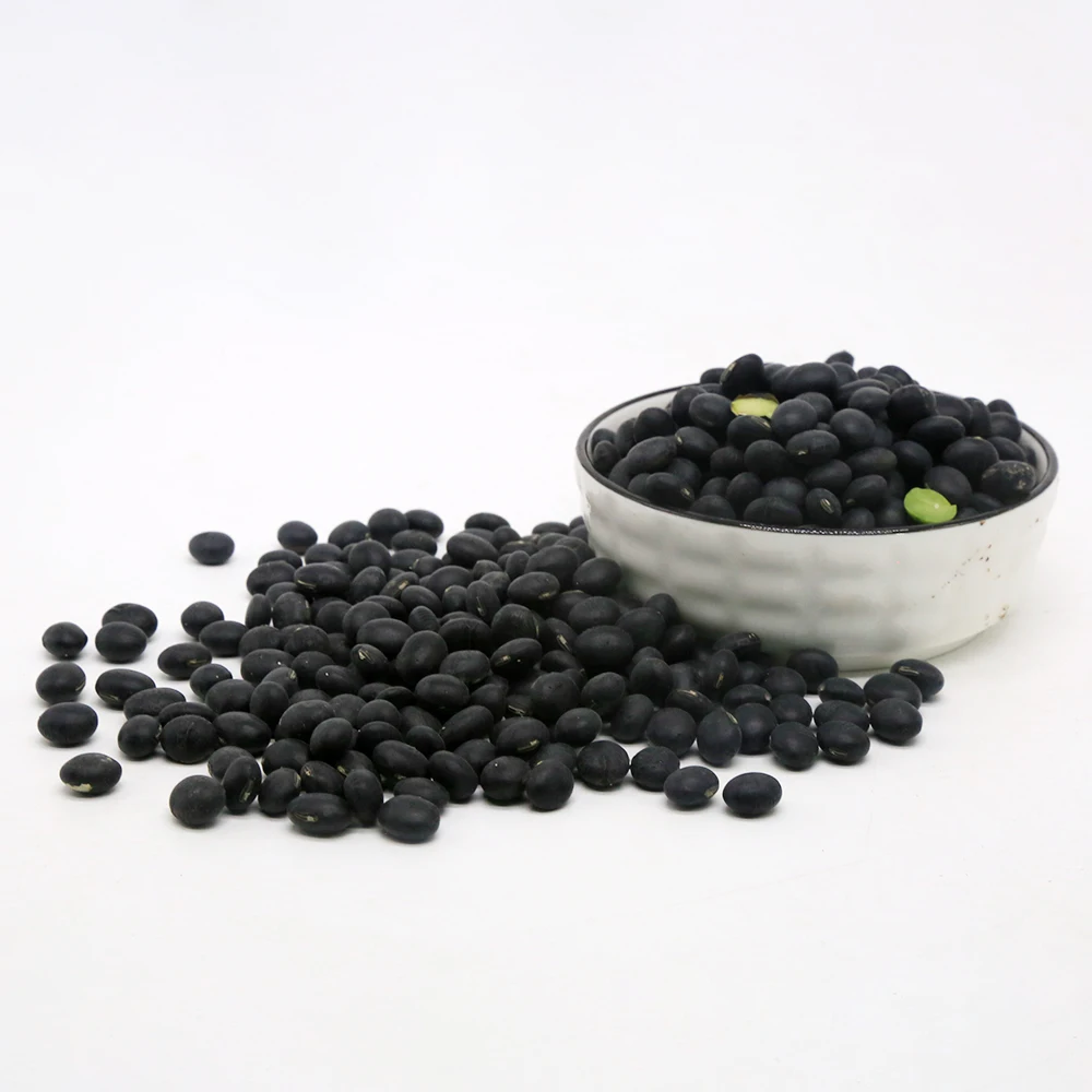 Профессиональное производство высококачественных Черных соевых бобов, необработанных черных бобов