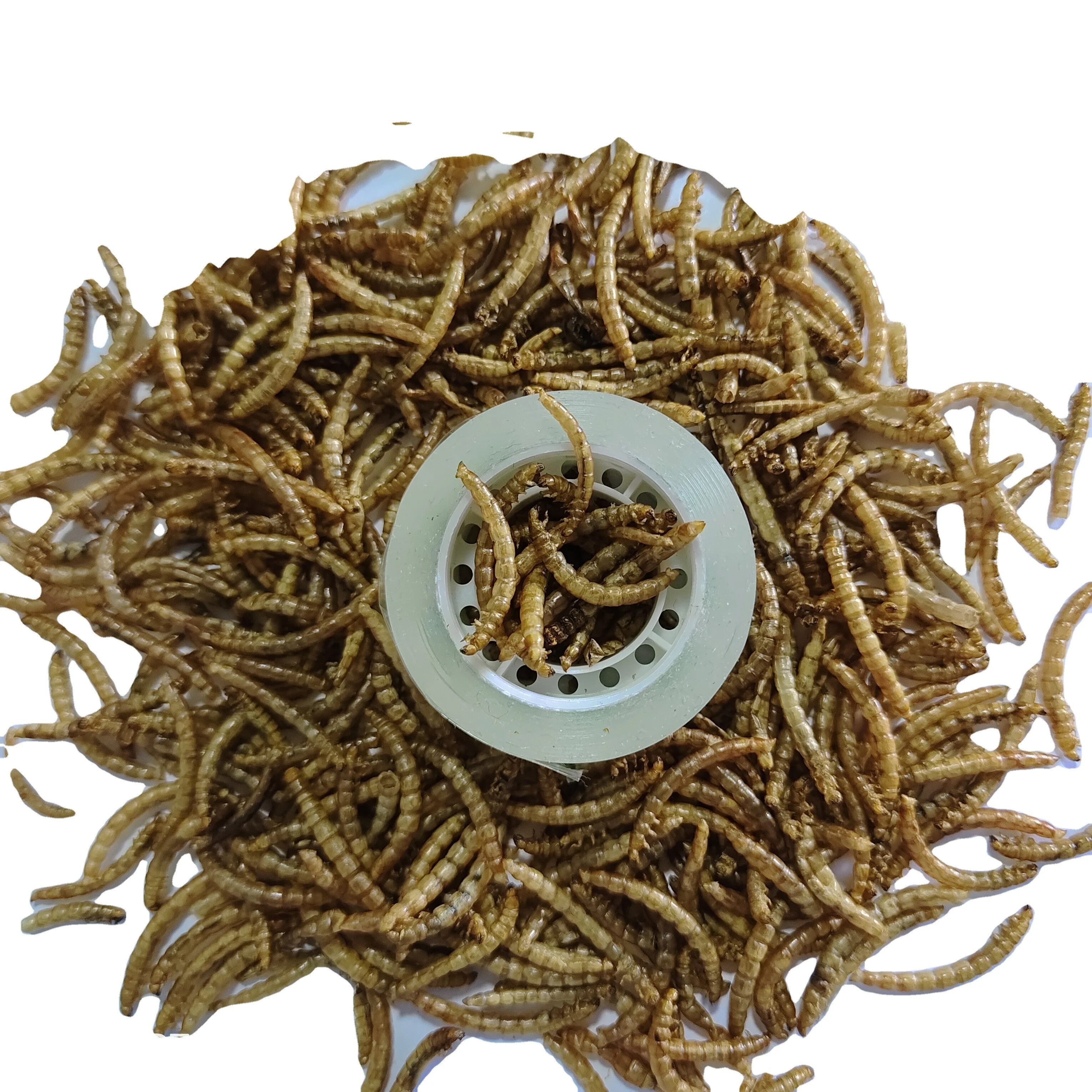 Top Grade Dry Food High Nutrition Dried Mealworms for Fish