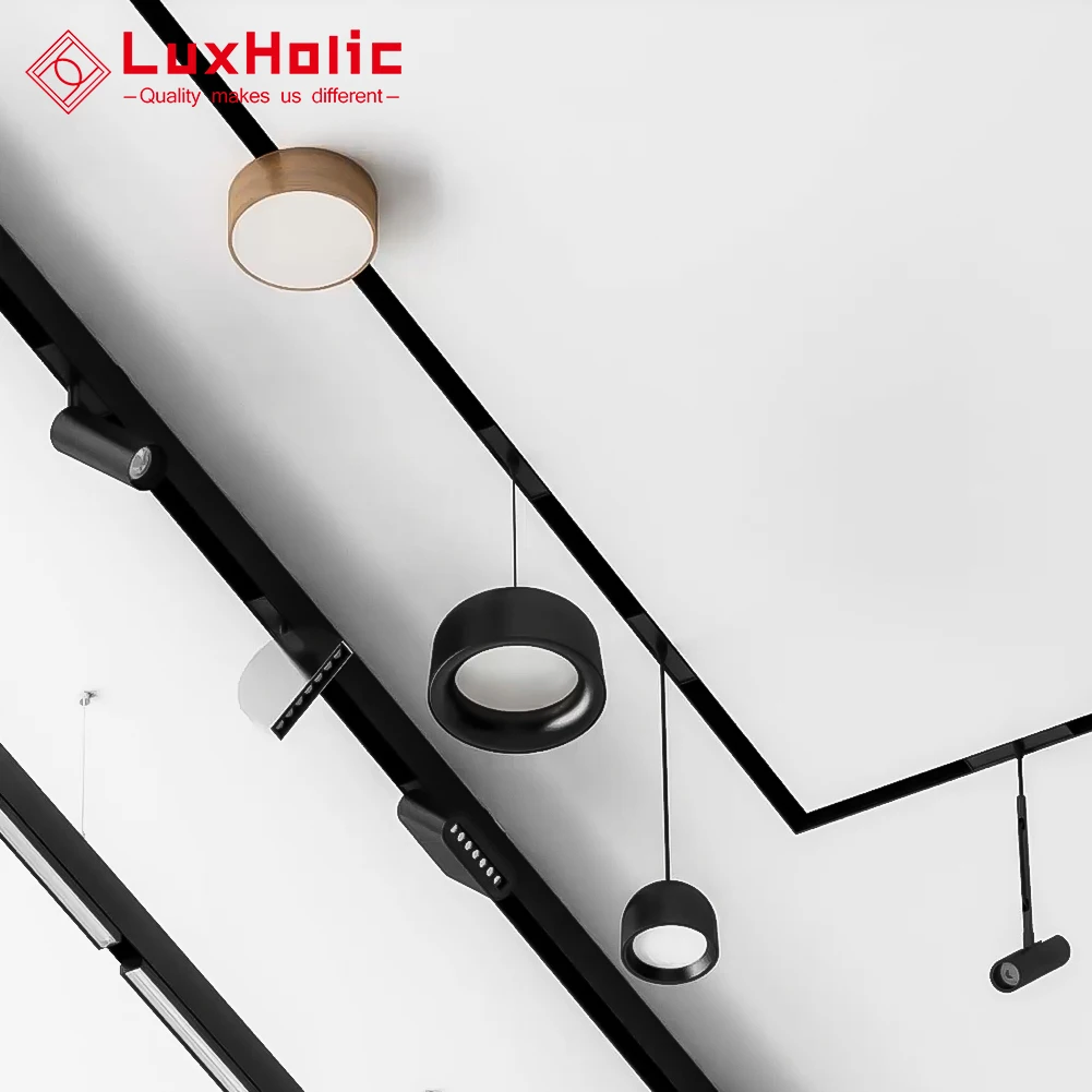 Recessed Dimmable Smart Dali Magnet Linear Rail Light System Aluminum 48v Magnetic Track Light For Hotel Showroom Home