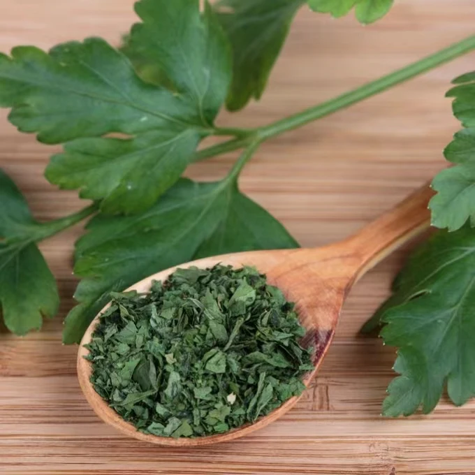 Hot selling new dried parsley, dried coriander leaves, dehydrated dried parsley, dried parsley