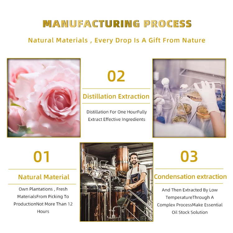 custom logo french male santal lemongrass sweet marjoram frankincense essential oils