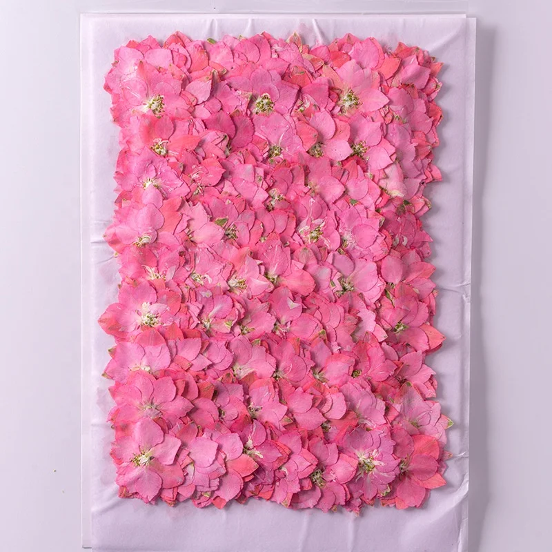 1000pcs/bag Larkspur Pressed Flower For Resin Epoxy Art Candle Making Wedding Frame