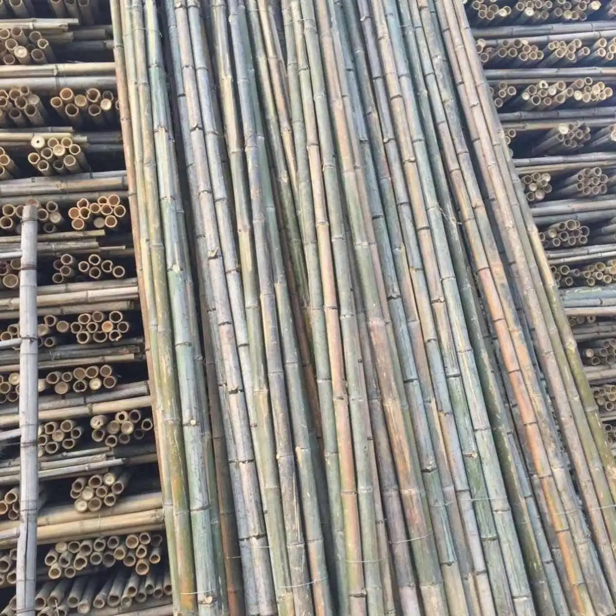 Wholesale Dry Bamboo Natural Environmental Protection Multifunctional Bamboo Raw Material