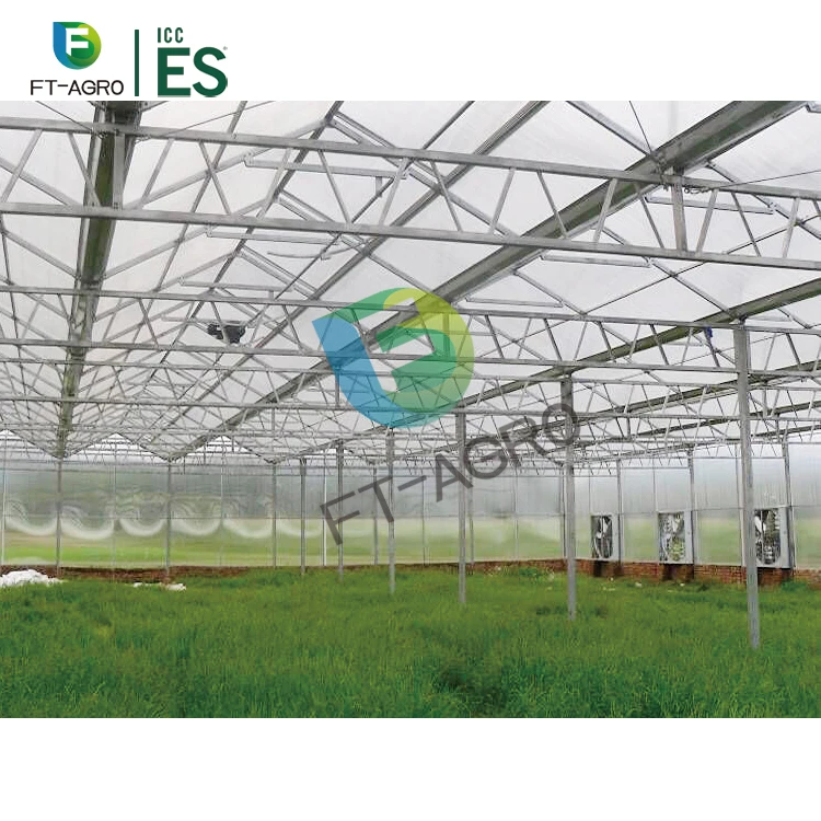 Manufacture sale commercial aluminium alloy pc sheet polycarbonate greenhouse on sale