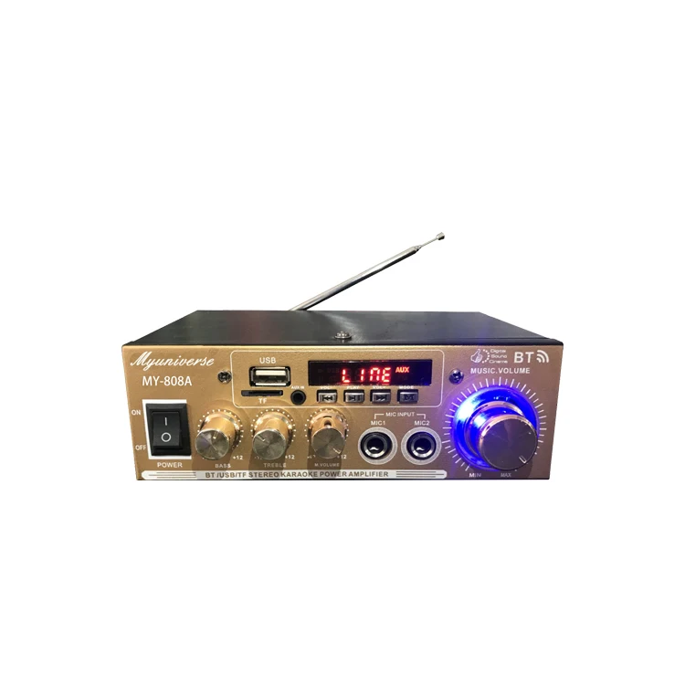 MINI high power car and home golden amplifier professional 12V--220V input