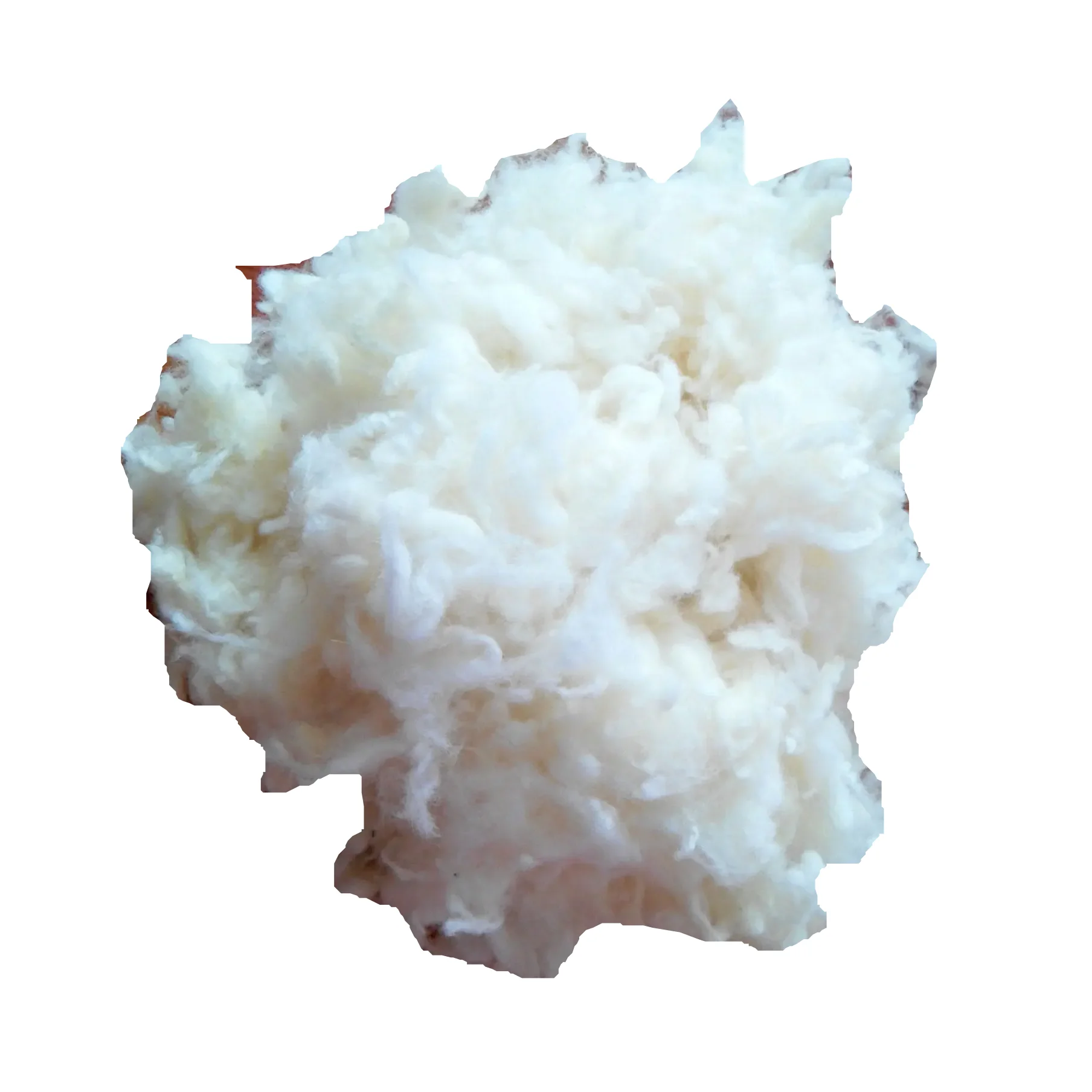 China Wholesale Viscose Staple Fiber Dyed Polyester Staple Fiber For Clothes Pillow Toys Cushion