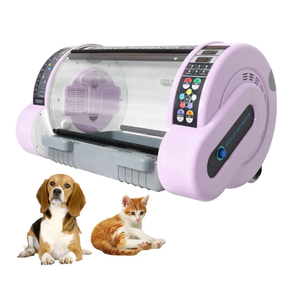Ysenmed Pet Puppy Incubator Veterinary Equipment Instrument Dog Large Puppy Incubator With Oxygen Nebulizer