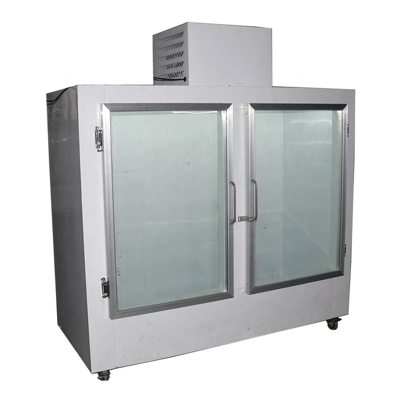 Gas Station Indoor Display Bagged Ice Storage Freezer With 2 Glass Door or Solid Doors